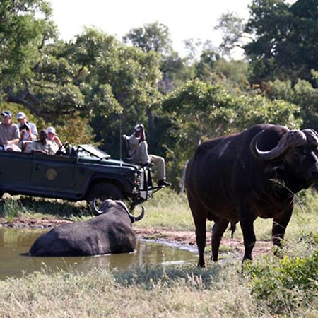 Umlani Bushcamp Villa Timbavati Game Reserve Exterior photo