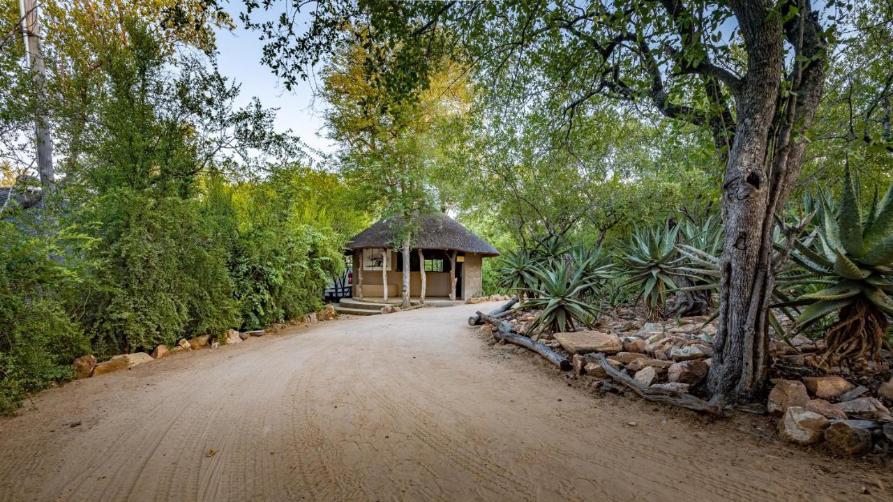 Umlani Bushcamp Villa Timbavati Game Reserve Exterior photo