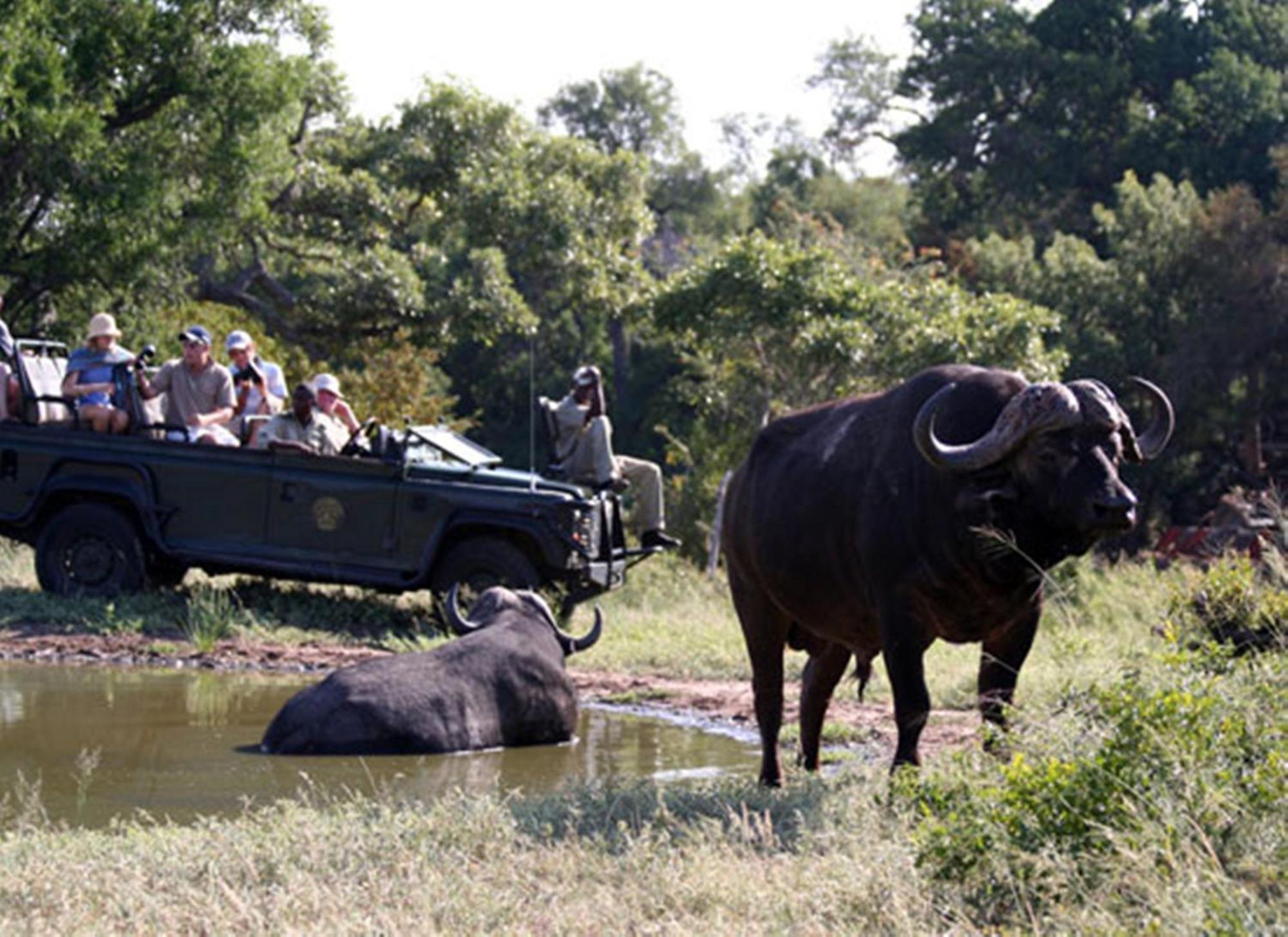 Umlani Bushcamp Villa Timbavati Game Reserve Exterior photo