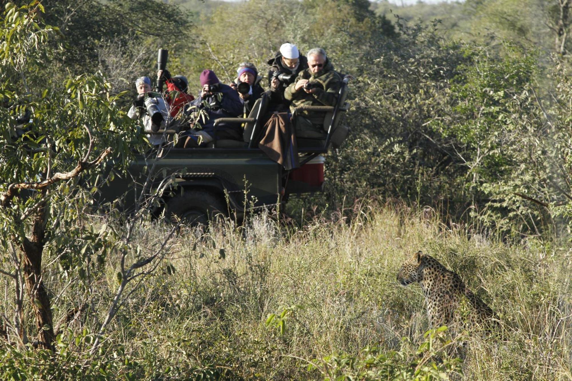 Umlani Bushcamp Villa Timbavati Game Reserve Exterior photo