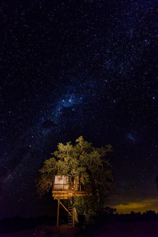 Umlani Bushcamp Villa Timbavati Game Reserve Exterior photo