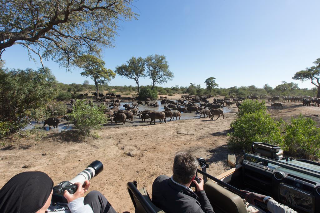 Umlani Bushcamp Villa Timbavati Game Reserve Exterior photo